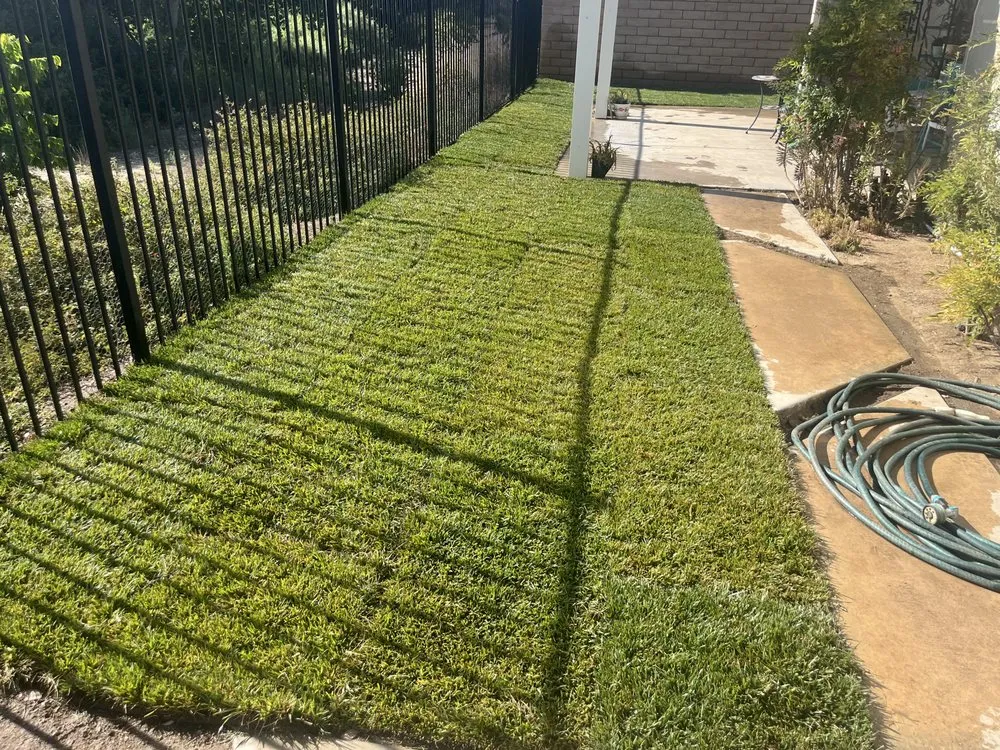 Expert lawn care service for year-round maintenance across Riverside, CA - Ken’s Landscape
