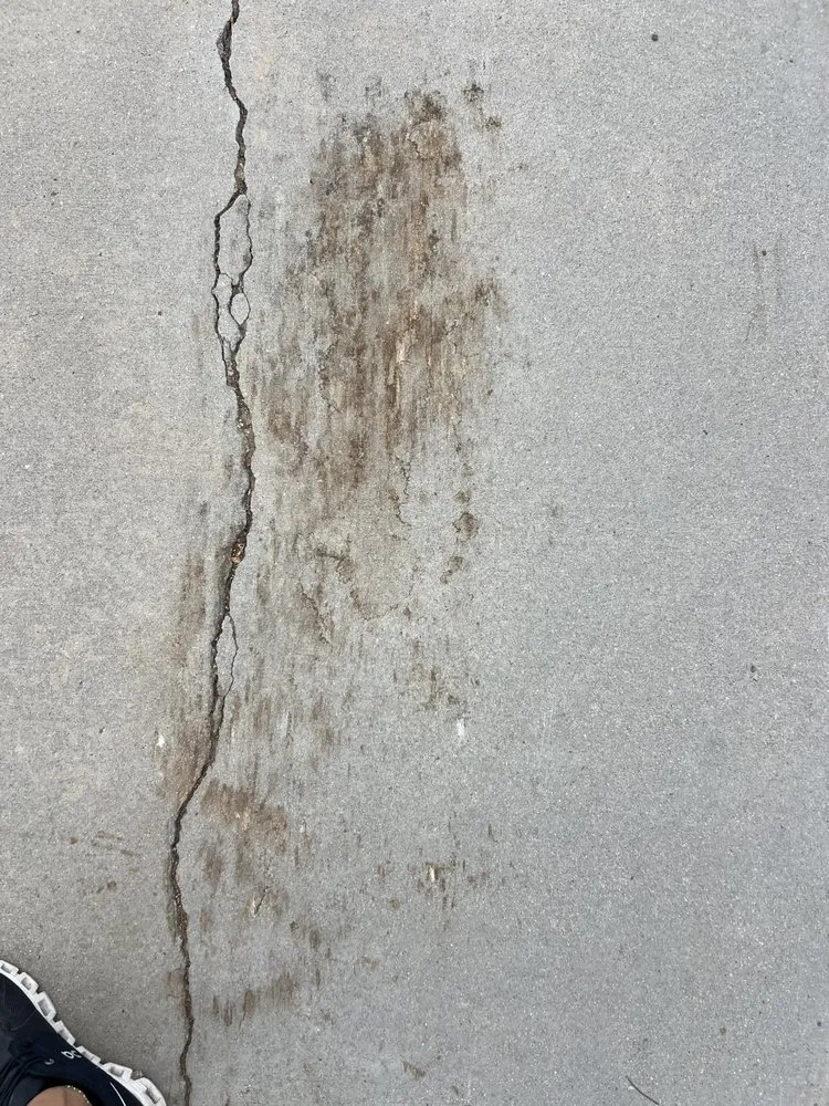 Local landscape installation experts serving Riverside, CA - Ken’s Landscape