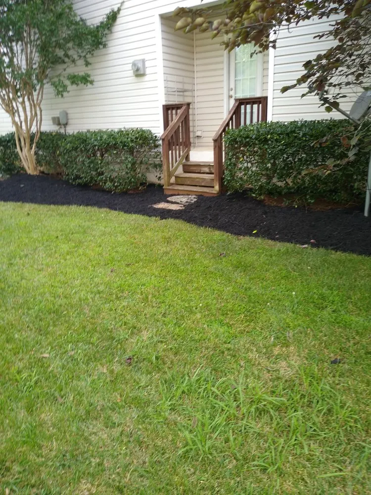 Affordable lawn care service for year-round maintenance in Fort Mill, SC by Ken's Landscaping and Designs