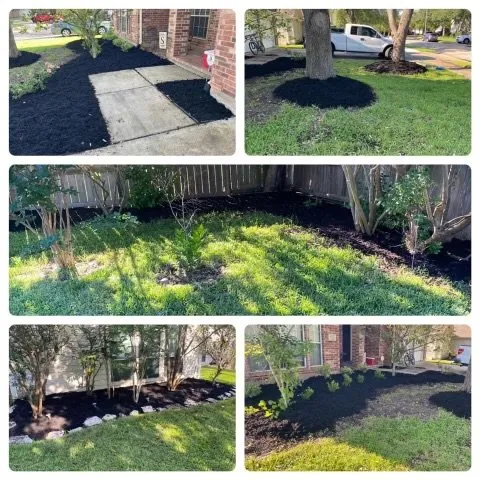 Top-rated lawn care service in El Campo, TX by Ken’s Landscaping and Pressure Washing