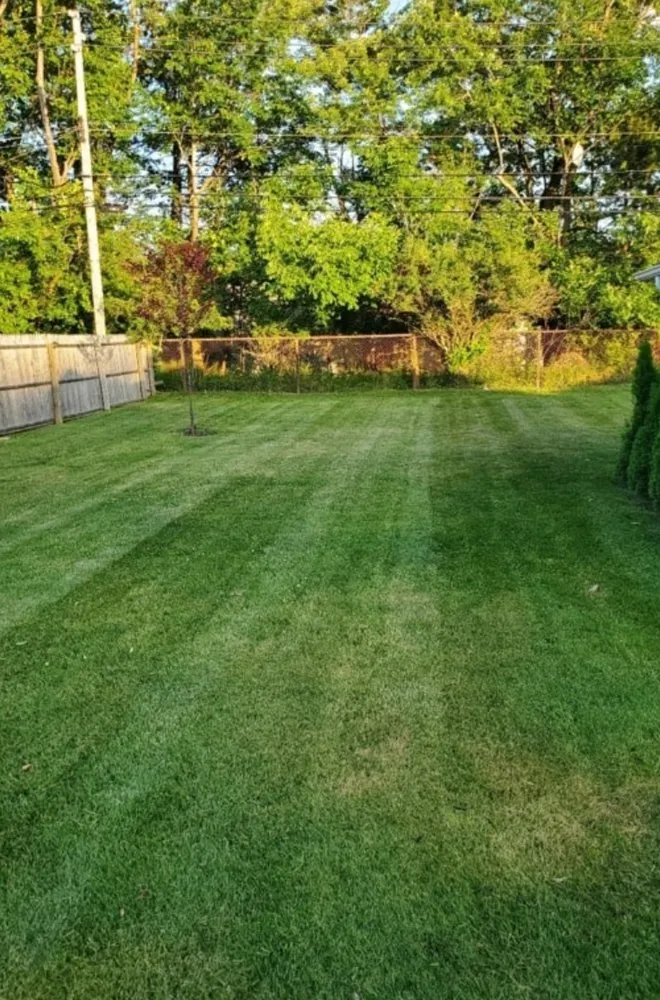 Local yard maintenance for year-round maintenance across Sikeston, MO - Kens landscaping