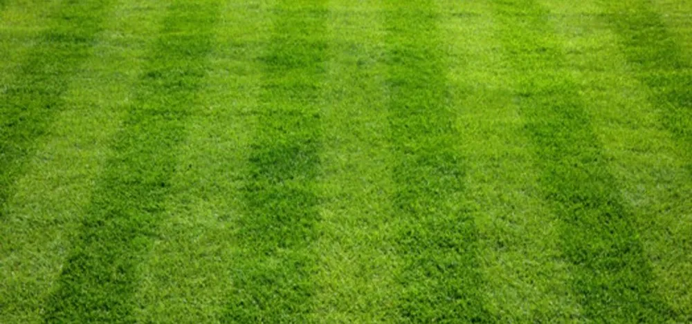 Top-rated outdoor landscaping with custom design in Sikeston, MO by Kens landscaping