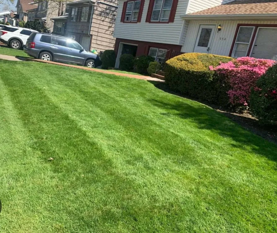 Top-rated landscape installation in Sikeston, MO by Kens landscaping