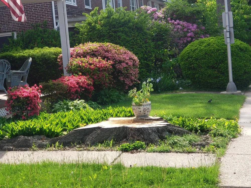 Reliable lawn care service in Reading, PA - Ken's Lawn and Home Maintenance Services