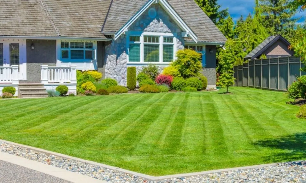 Top-rated outdoor landscaping for year-round maintenance in Sikeston, MO by Kens Lawn Care