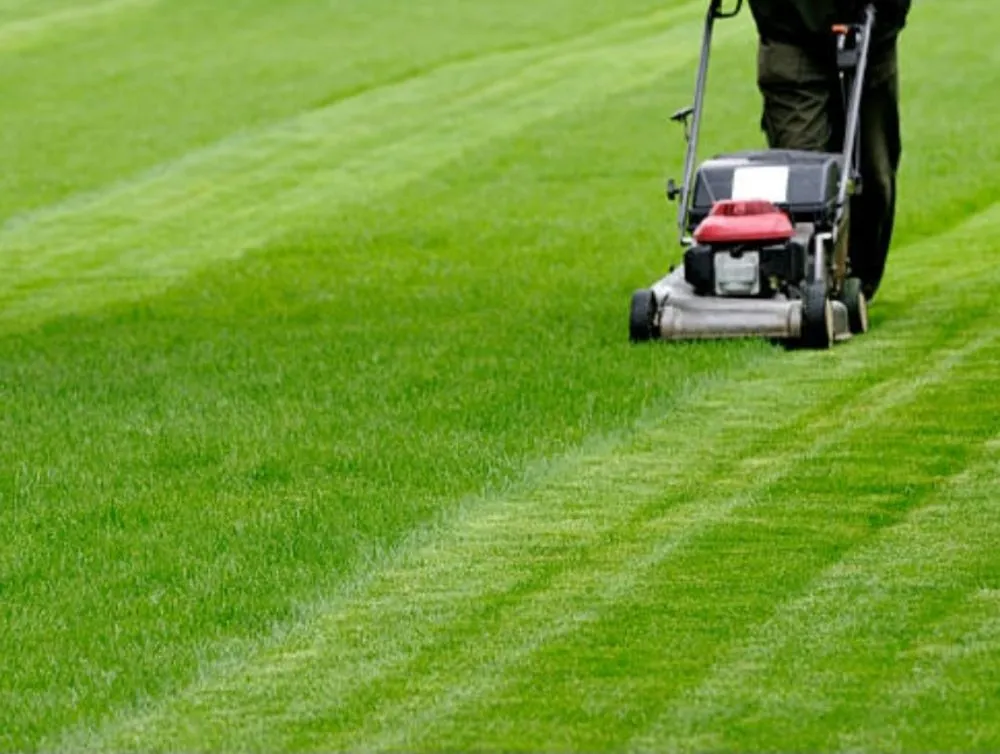 Trusted yard maintenance in Sikeston, MO - Kens Lawn Care