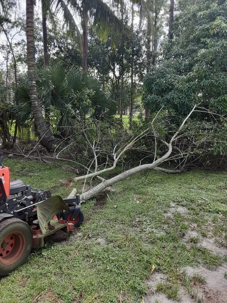 Custom yard maintenance experts serving West Palm Beach, FL - Ken's Lawn Service