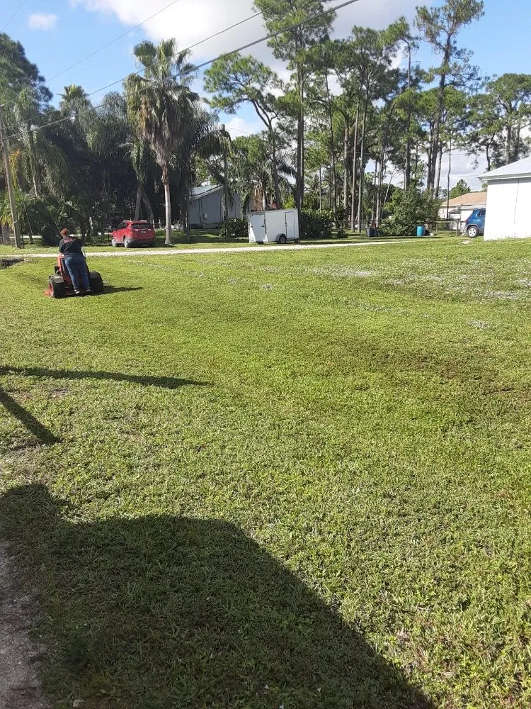 Affordable landscape installation in West Palm Beach, FL by Ken's Lawn Service