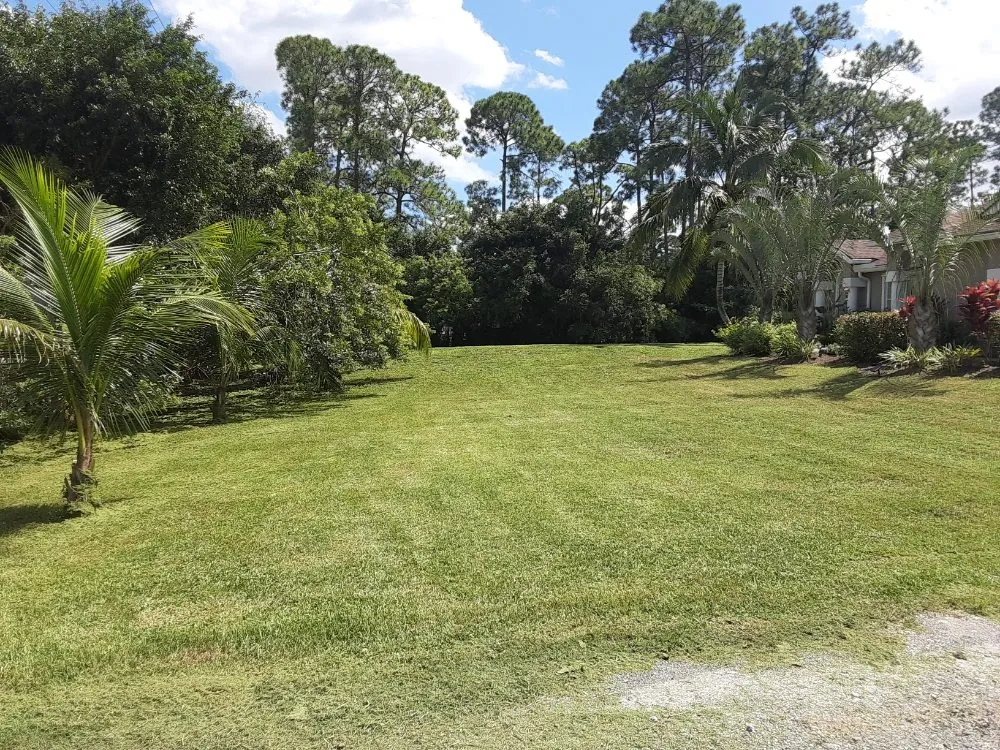 Affordable landscape design experts serving West Palm Beach, FL - Ken's Lawn Service