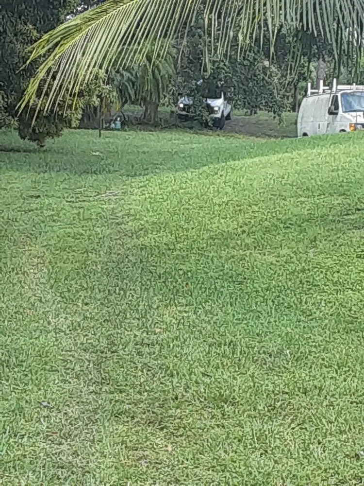 Local garden landscaping experts serving West Palm Beach, FL - Ken's Lawn Service