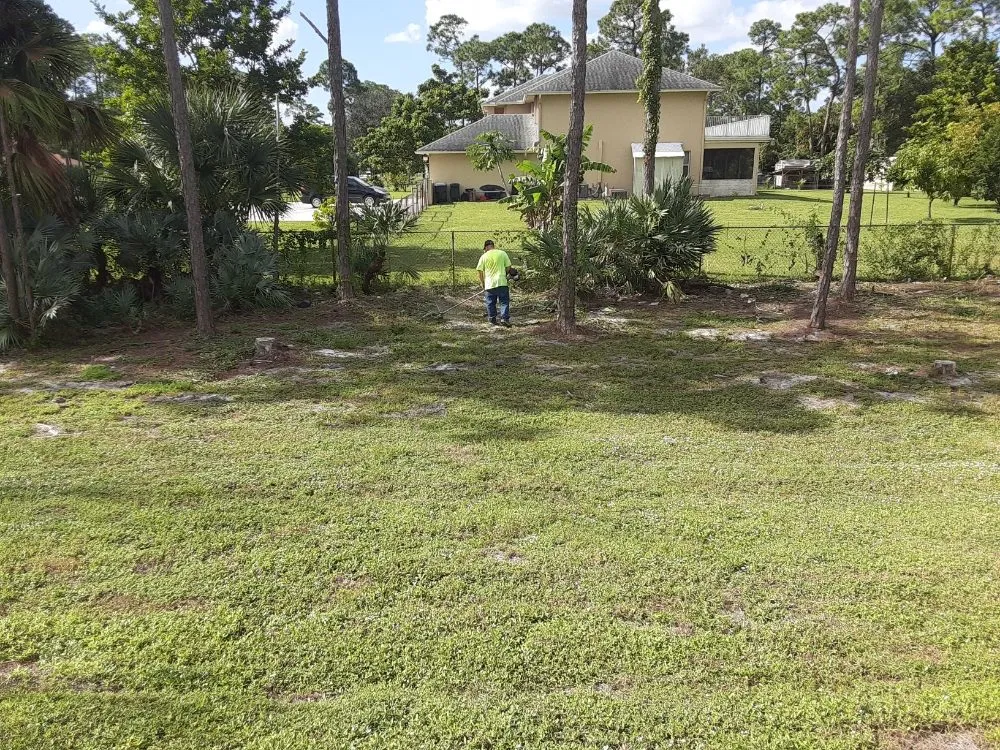 Trusted lawn mowing service in West Palm Beach, FL by Ken's Lawn Service