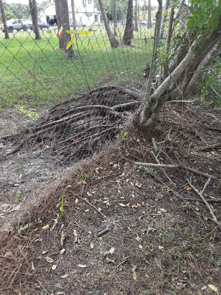 Reliable landscaping services for homes in West Palm Beach, FL by Ken's Lawn Service