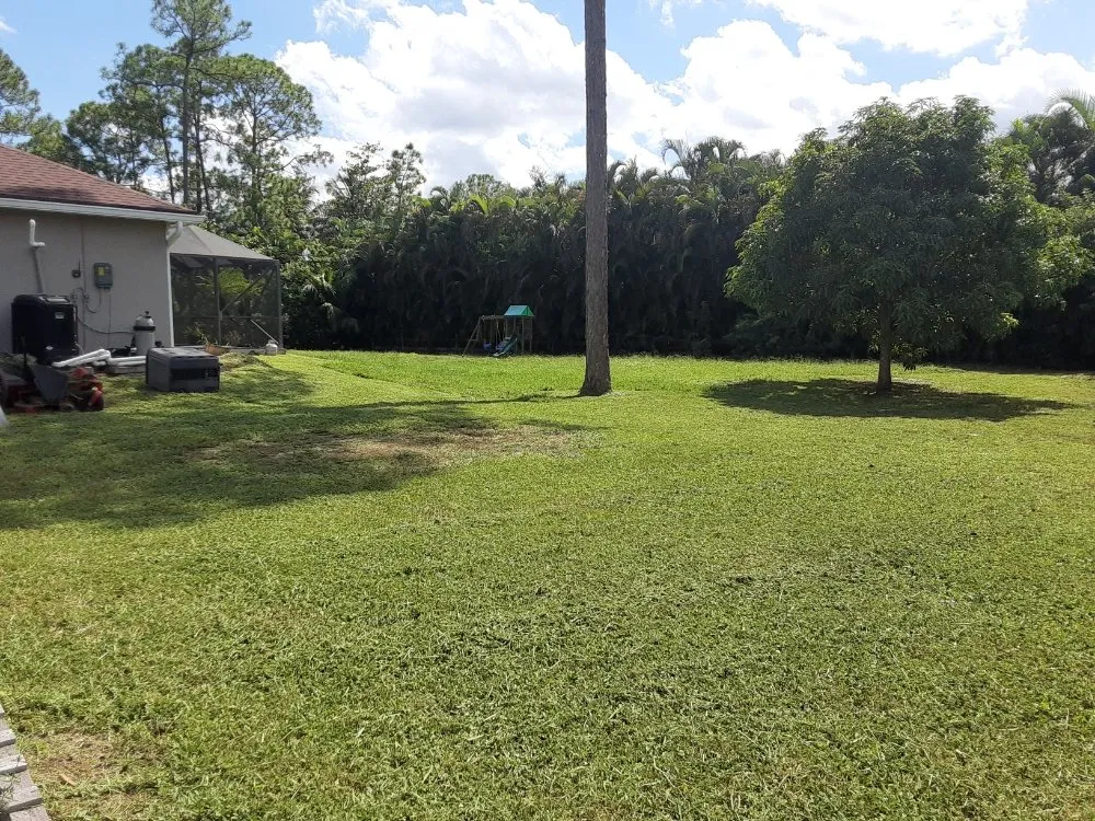 Reliable lawn mowing service for outdoor upgrades across West Palm Beach, FL - Ken's Lawn Service
