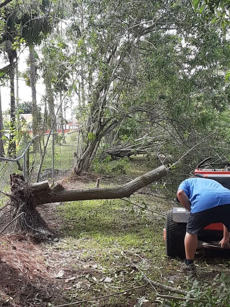 Local landscaping services in West Palm Beach, FL by Ken's Lawn Service