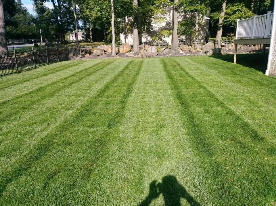 Top-rated yard cleanup service in Wilmington, DE - Ken's Lawn Service