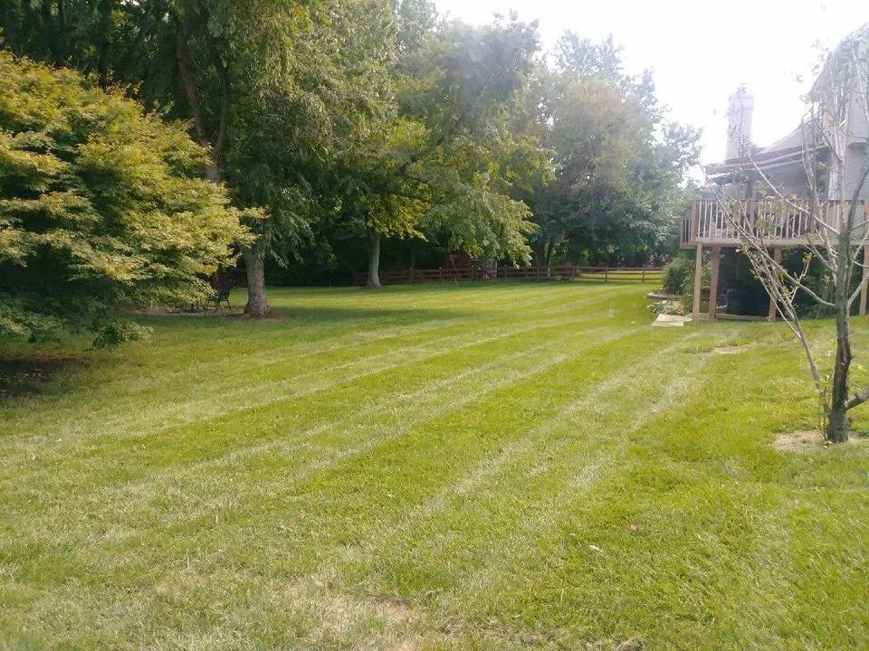 Reliable yard maintenance for homes in Wilmington, DE by Ken's Lawn Service