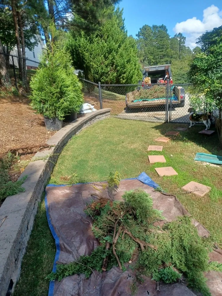 Trusted yard cleanup service in Chattanooga Valley, GA - Ken's Outdoor Services