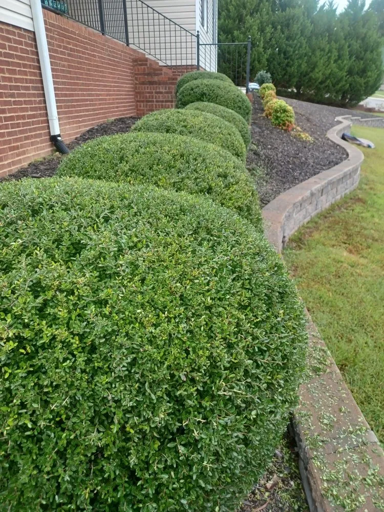 Affordable outdoor landscaping with custom design in Chattanooga Valley, GA by Ken's Outdoor Services