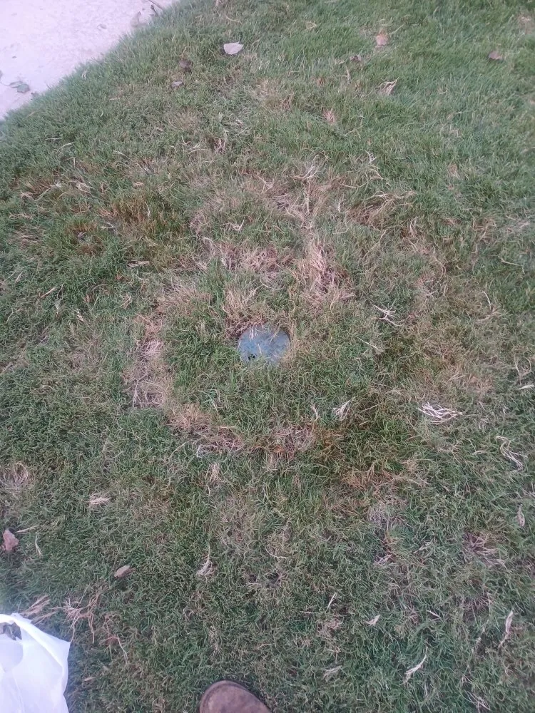 Expert yard cleanup service experts serving Chattanooga Valley, GA - Ken's Outdoor Services