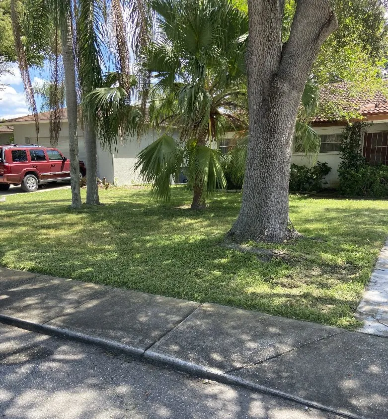 Trusted landscape installation experts serving New Port Richey, FL - Ken’s Quality Lawn Care