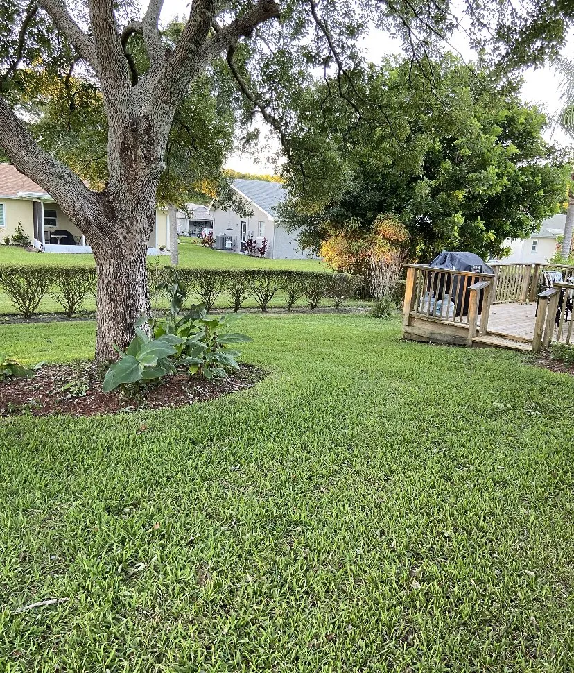 Reliable yard maintenance in New Port Richey, FL by Ken’s Quality Lawn Care