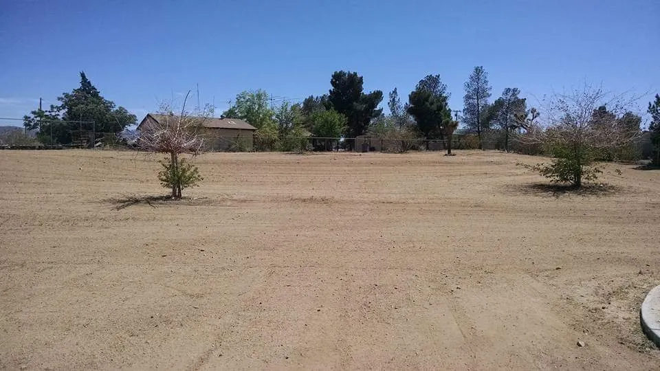 Affordable landscaping services in Hesperia, CA by Ken's tractor & clean ups