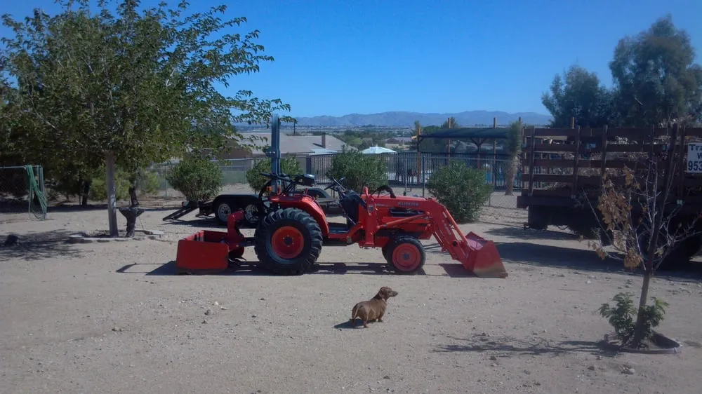 Affordable outdoor landscaping in Hesperia, CA - Ken's tractor & clean ups