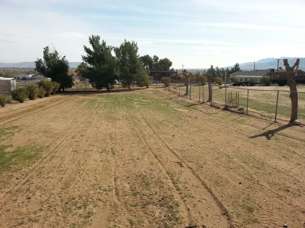 Reliable lawn care service in Hesperia, CA by Ken's tractor & clean ups