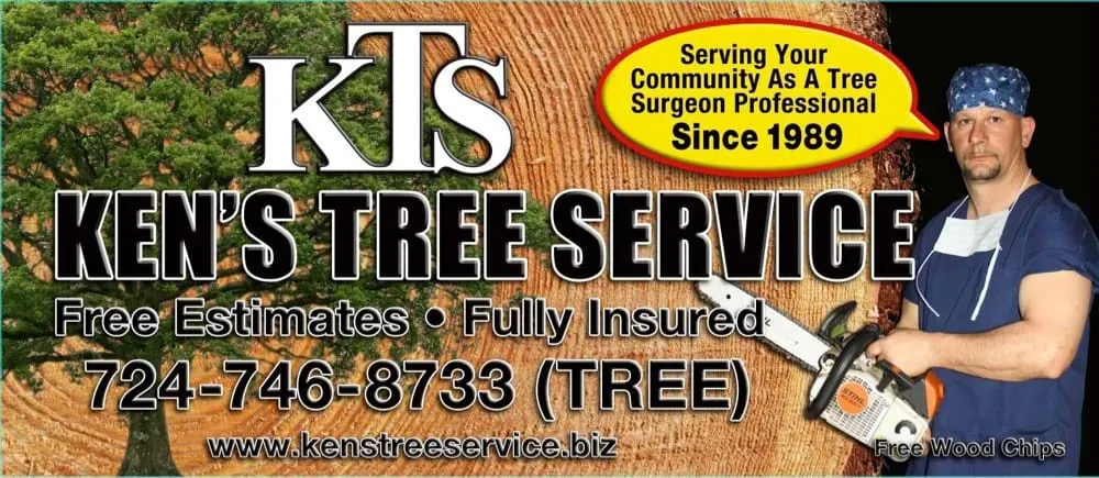 Top-rated landscaping services near you in Canonsburg, PA by Ken's Tree Service