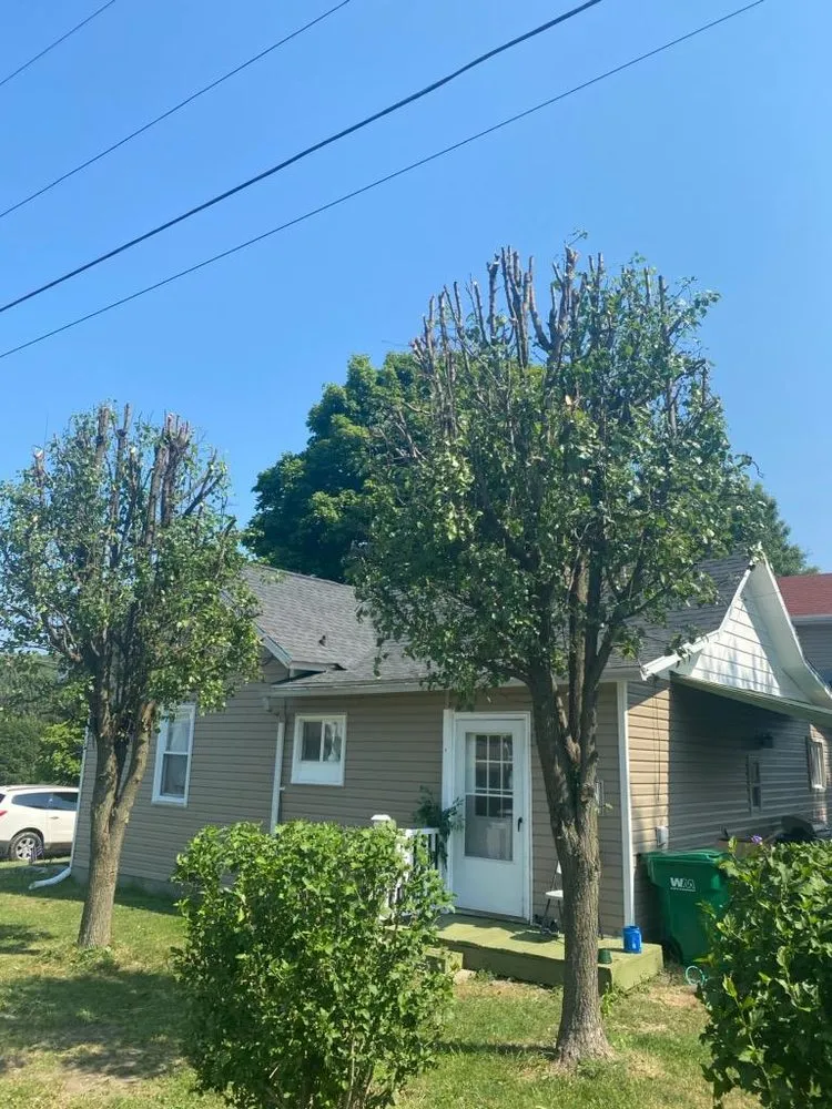 Trusted landscape installation experts serving Canonsburg, PA - Ken's Tree Service