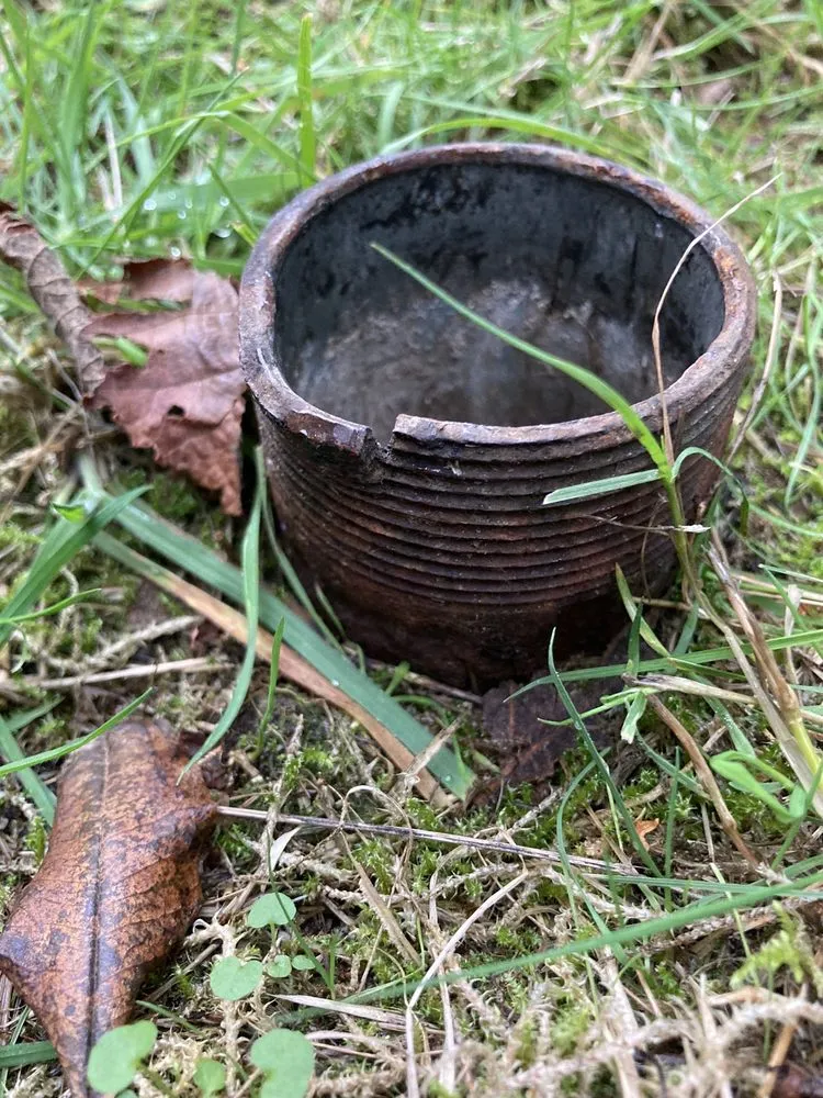 Professional residential landscaping for outdoor upgrades across Seattle, WA - Ken's Yard Service