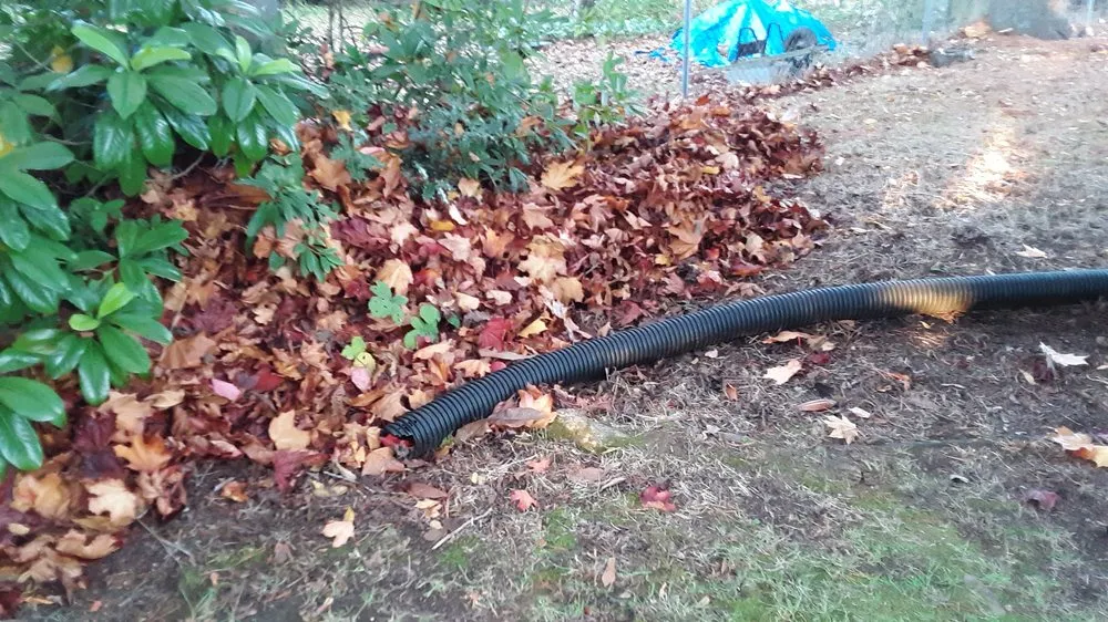 Local garden landscaping experts serving Seattle, WA - Ken's Yard Service