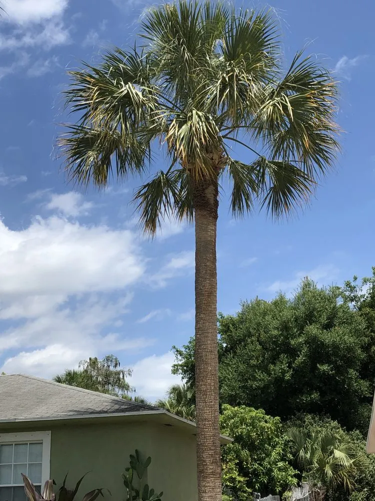 Expert yard cleanup service for beautiful yards across Jupiter, FL - Kenshade Complete Lawn Care Service