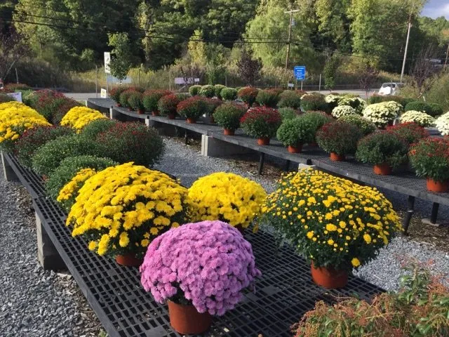 Affordable outdoor landscaping near you in Carmel, NY by Kent Countryside Nursery