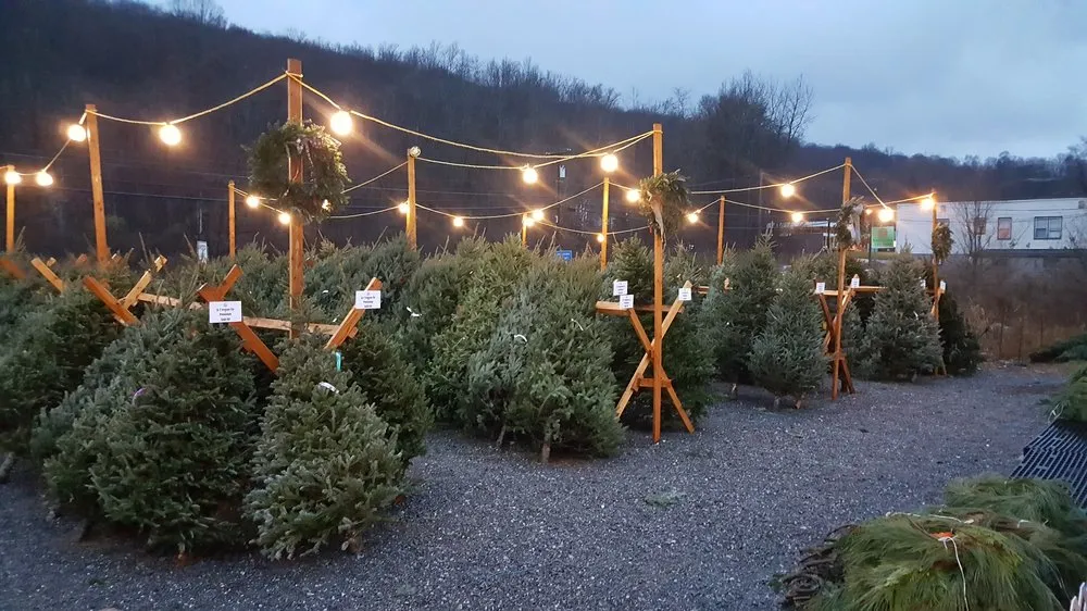 Reliable lawn care service for outdoor upgrades in Carmel, NY by Kent Countryside Nursery