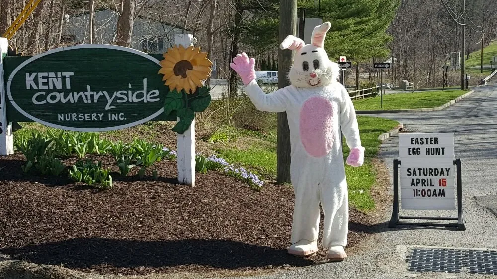 Custom landscaping services with custom design across Carmel, NY - Kent Countryside Nursery