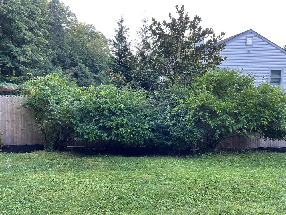 Expert landscape design in Carmel, NY by Kent Countryside Nursery