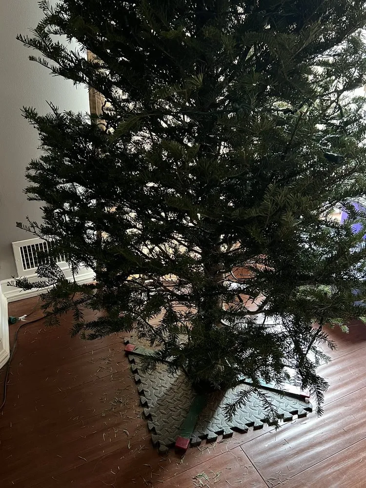 Top-rated residential landscaping in Carmel, NY - Kent Countryside Nursery