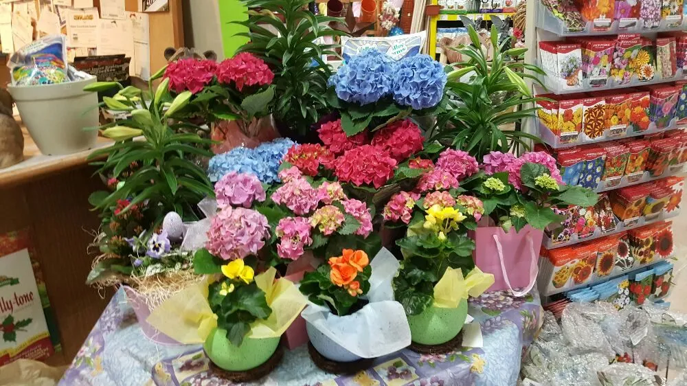 Professional residential landscaping experts serving Carmel, NY - Kent Countryside Nursery