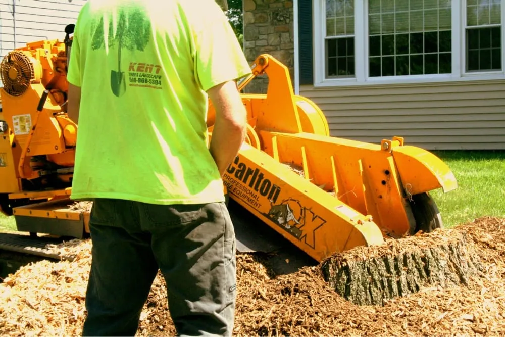 Trusted yard cleanup service in Jefferson, MA - Kent Tree and Landscape