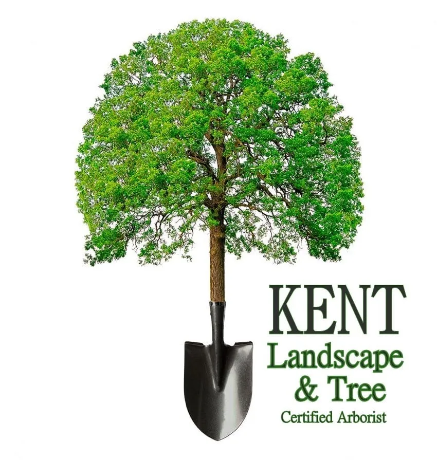 Custom outdoor landscaping for residential properties across Jefferson, MA - Kent Tree and Landscape