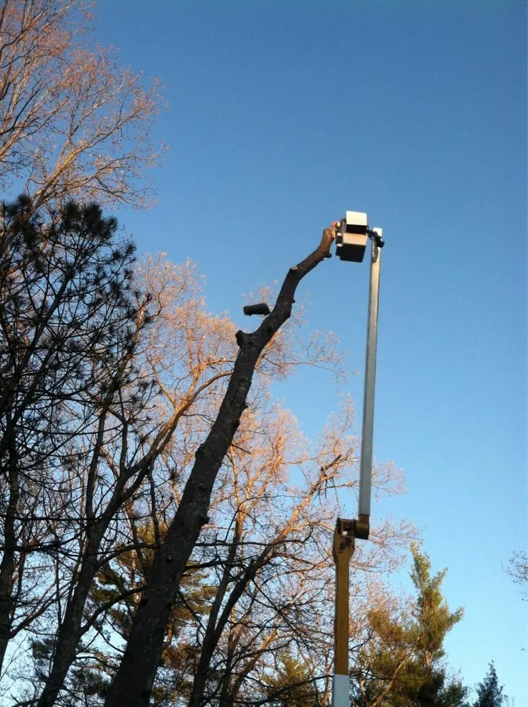 Expert landscape installation experts serving Jefferson, MA - Kent Tree and Landscape