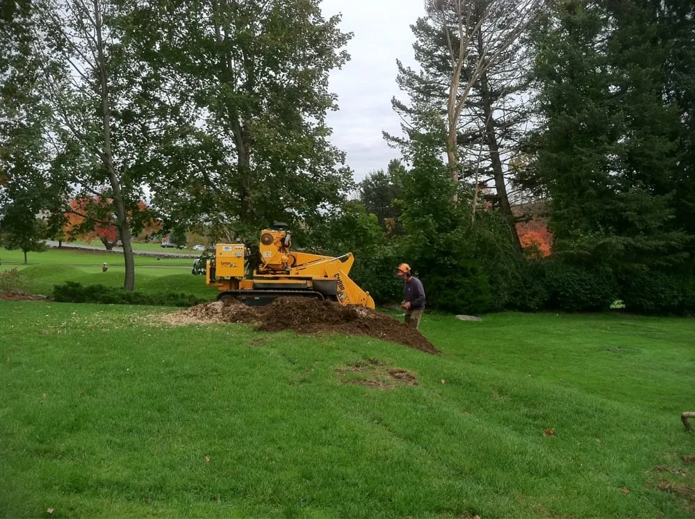 Custom outdoor landscaping experts serving Jefferson, MA - Kent Tree and Landscape
