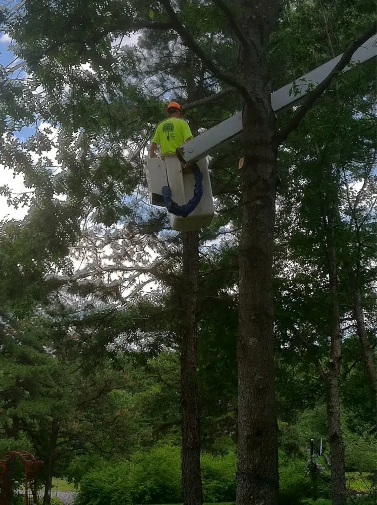 Local outdoor landscaping in Jefferson, MA by Kent Tree and Landscape