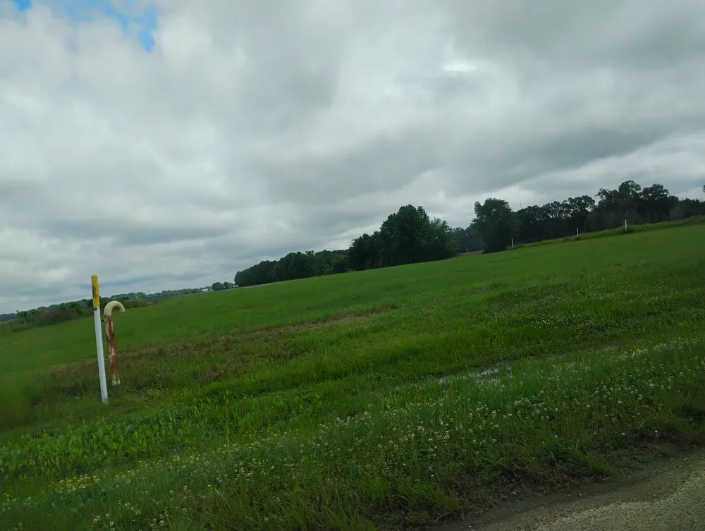 Reliable landscaping services in Tallulah, LA - Kentay Lawn Service