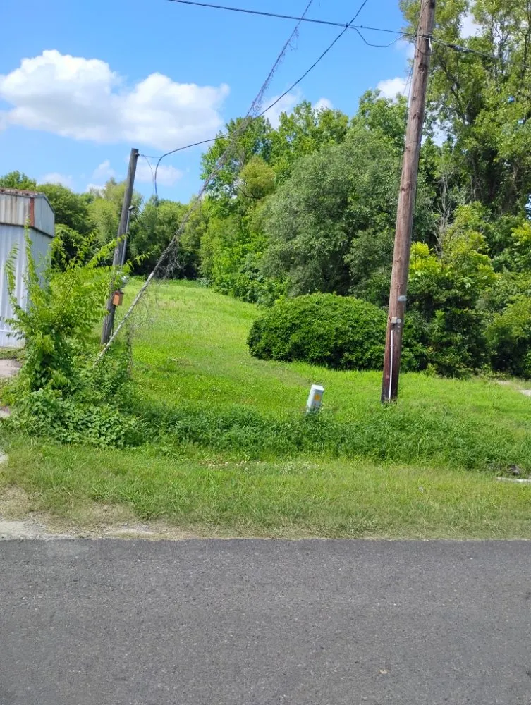 Affordable landscape design experts serving Tallulah, LA - Kentay Lawn Service