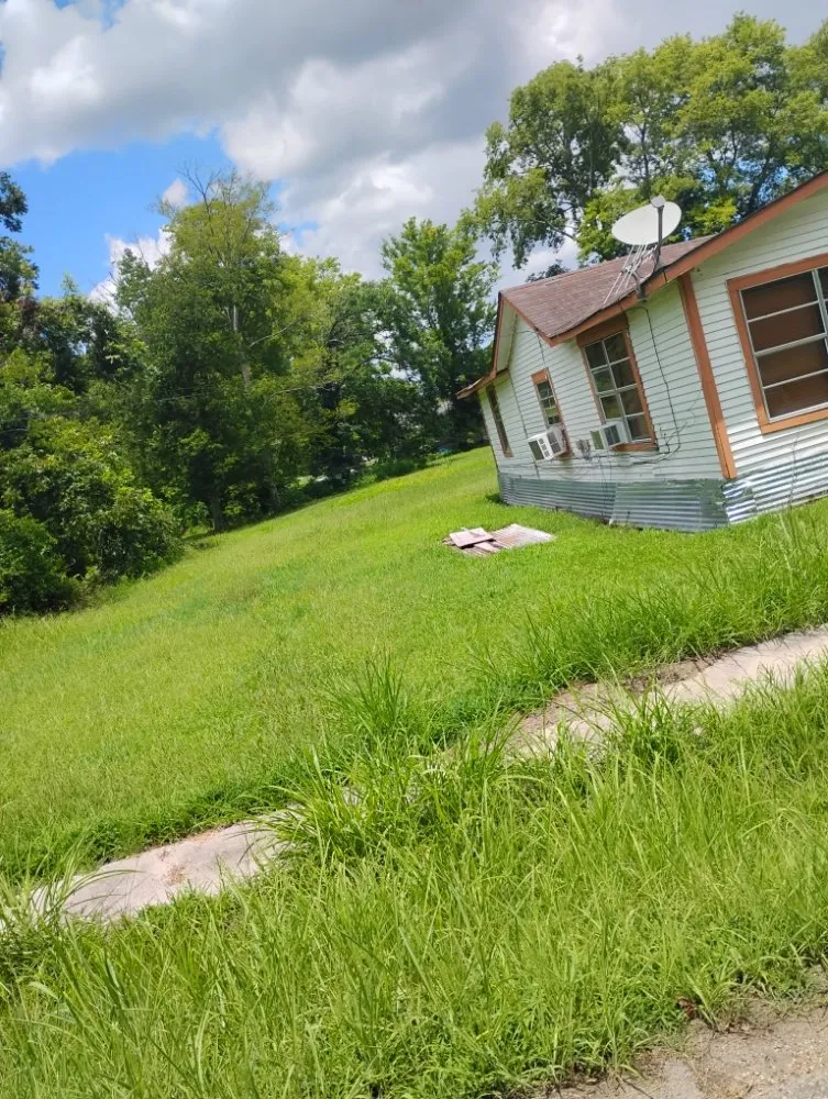 Affordable lawn care service in Tallulah, LA - Kentay Lawn Service