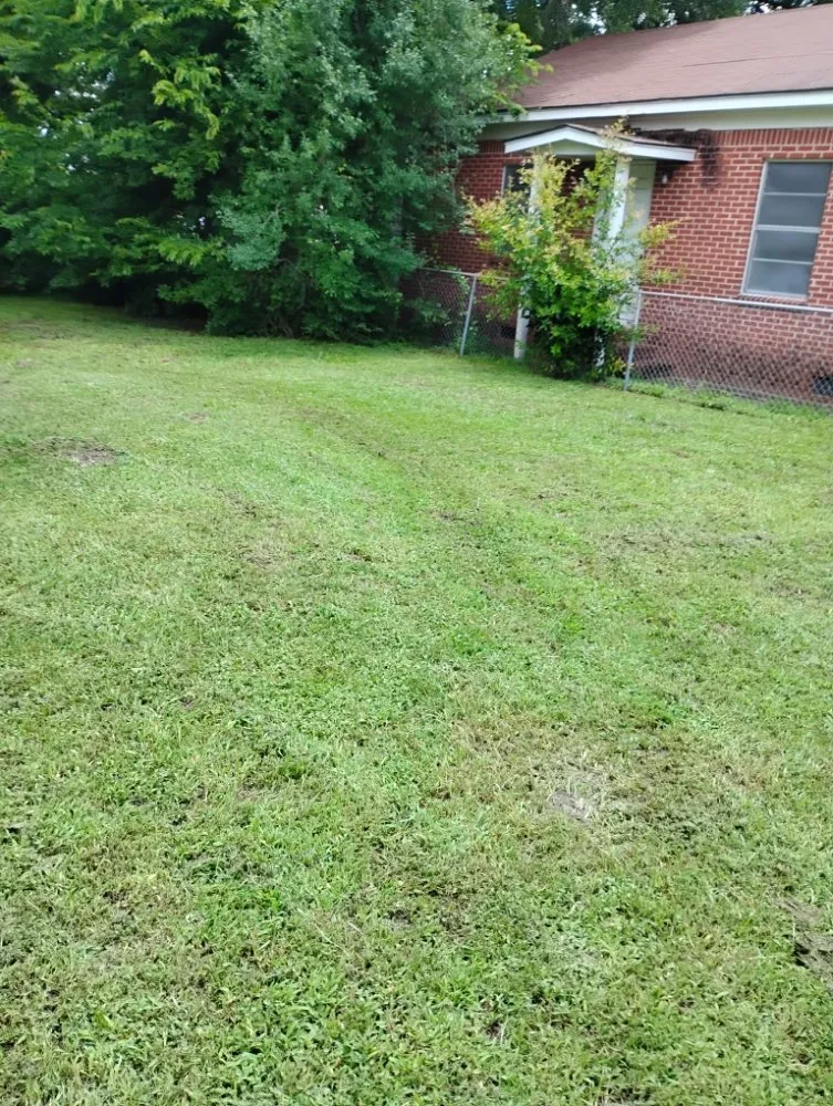 Affordable yard maintenance in Tallulah, LA by Kentay Lawn Service