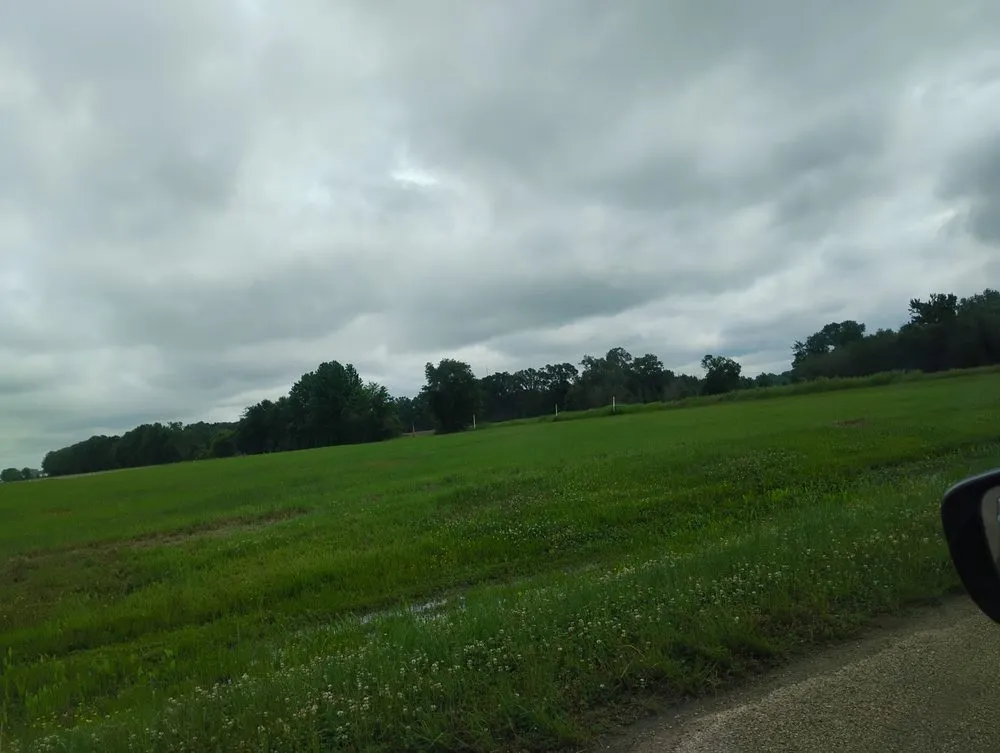 Professional outdoor landscaping experts serving Tallulah, LA - Kentay Lawn Service