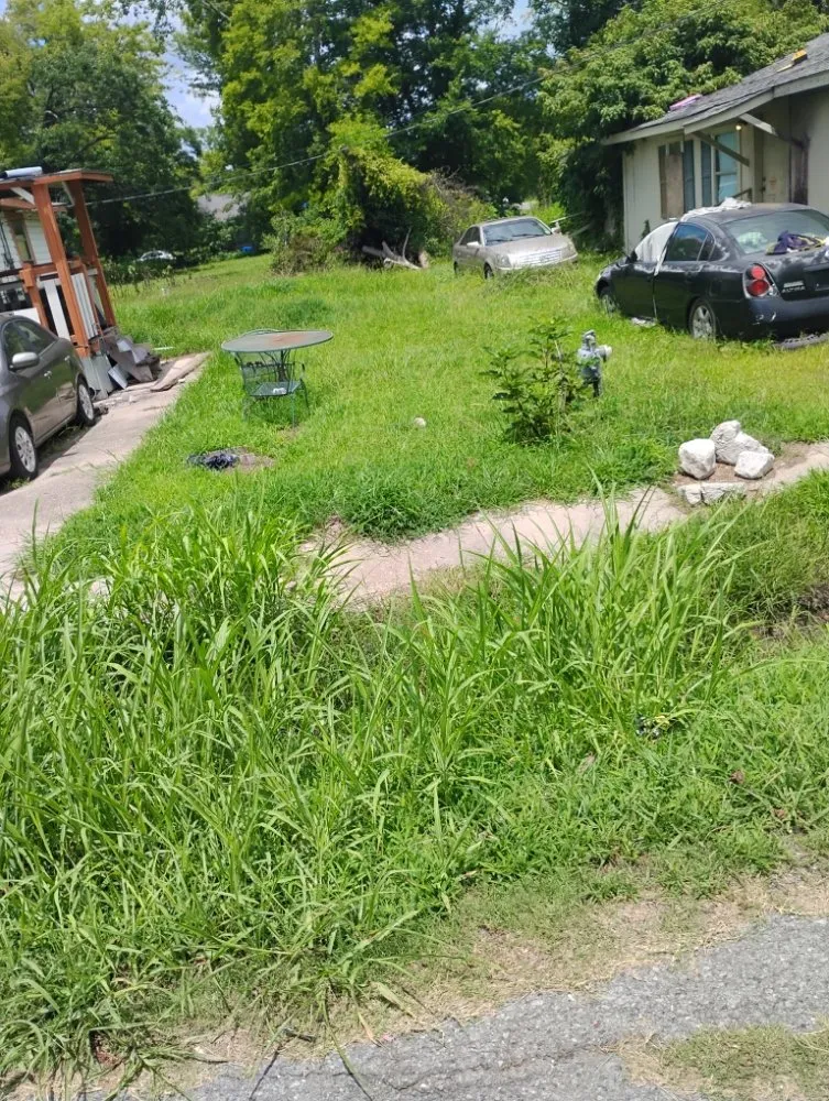 Professional landscaping services in Tallulah, LA - Kentay Lawn Service